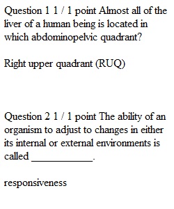 Week 16 Final Exam